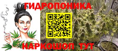 СК Будённовск